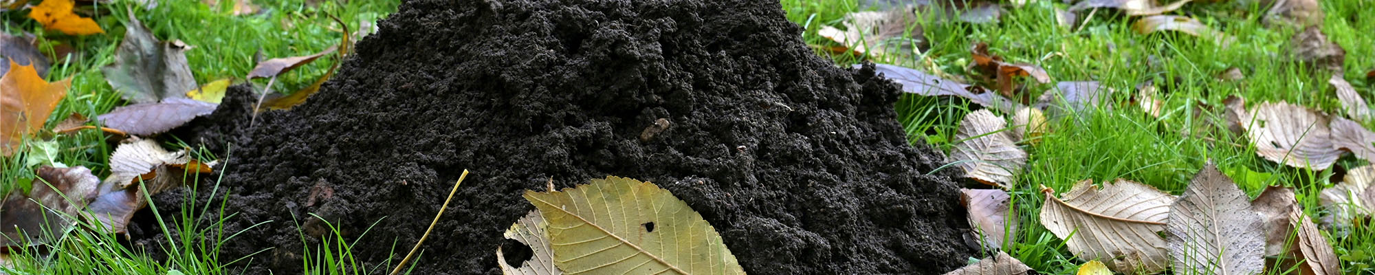 Unique Lawn Care, Fertilization & Pest Control