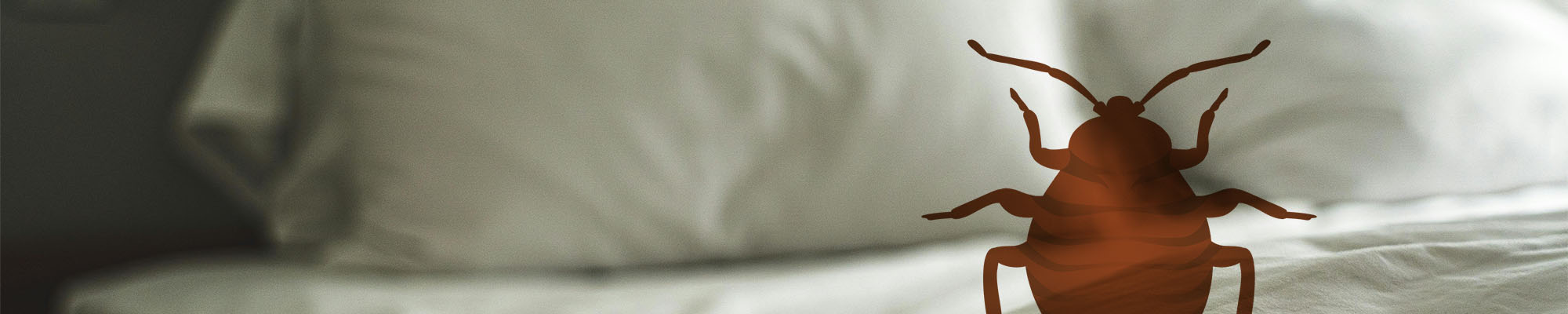 Unique Lawn Care, Fertilization & Pest Control